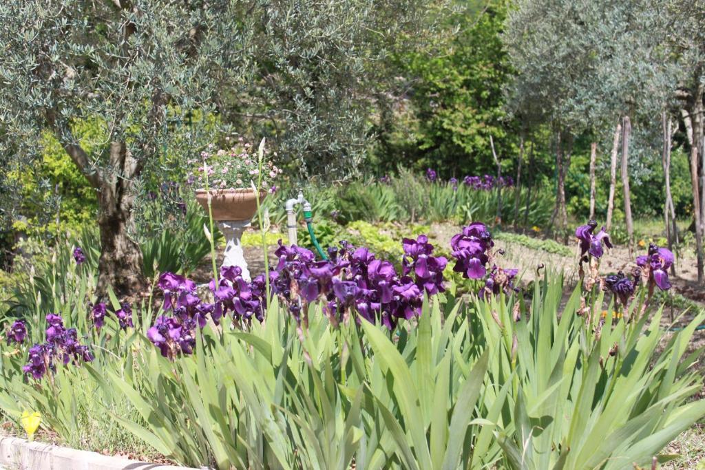 Séguret Amour Provence מראה חיצוני תמונה